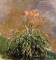 Hamerocallis Claude Monet Impresionismo Flores